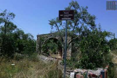 "Torre del Lupomino", nelle campagne di Bitonto la casa di un leggendario licantropo